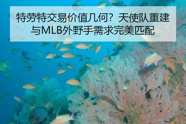特劳特交易价值几何？天使队重建与MLB外野手需求完美匹配
