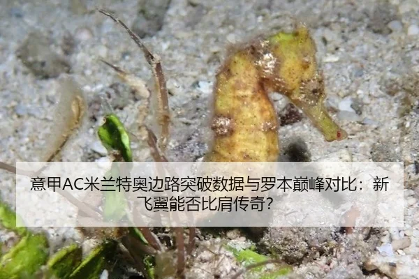 意甲AC米兰特奥边路突破数据与罗本巅峰对比：新飞翼能否比肩传奇？