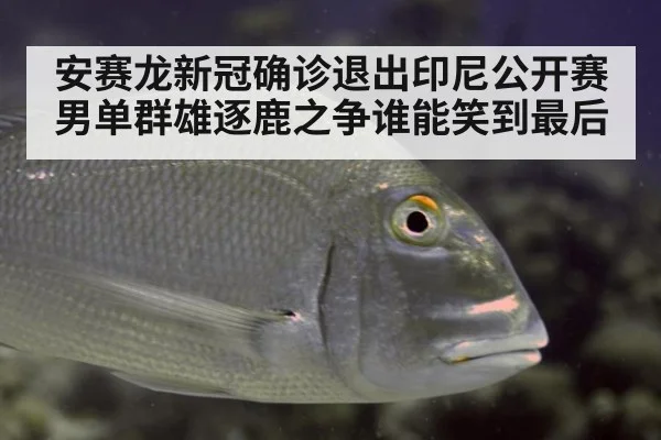 安赛龙新冠确诊退出印尼公开赛 男单群雄逐鹿之争谁能笑到最后