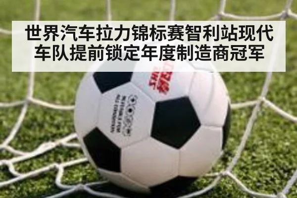 世界汽车拉力锦标赛智利站现代车队提前锁定年度制造商冠军
