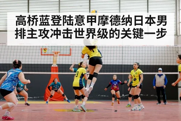 volleyball match arena